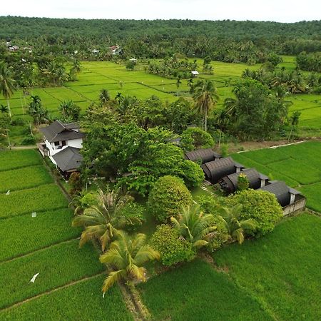 Gino'S Place - Guest House & Jungle Trekking Bukit Lawang Extérieur photo