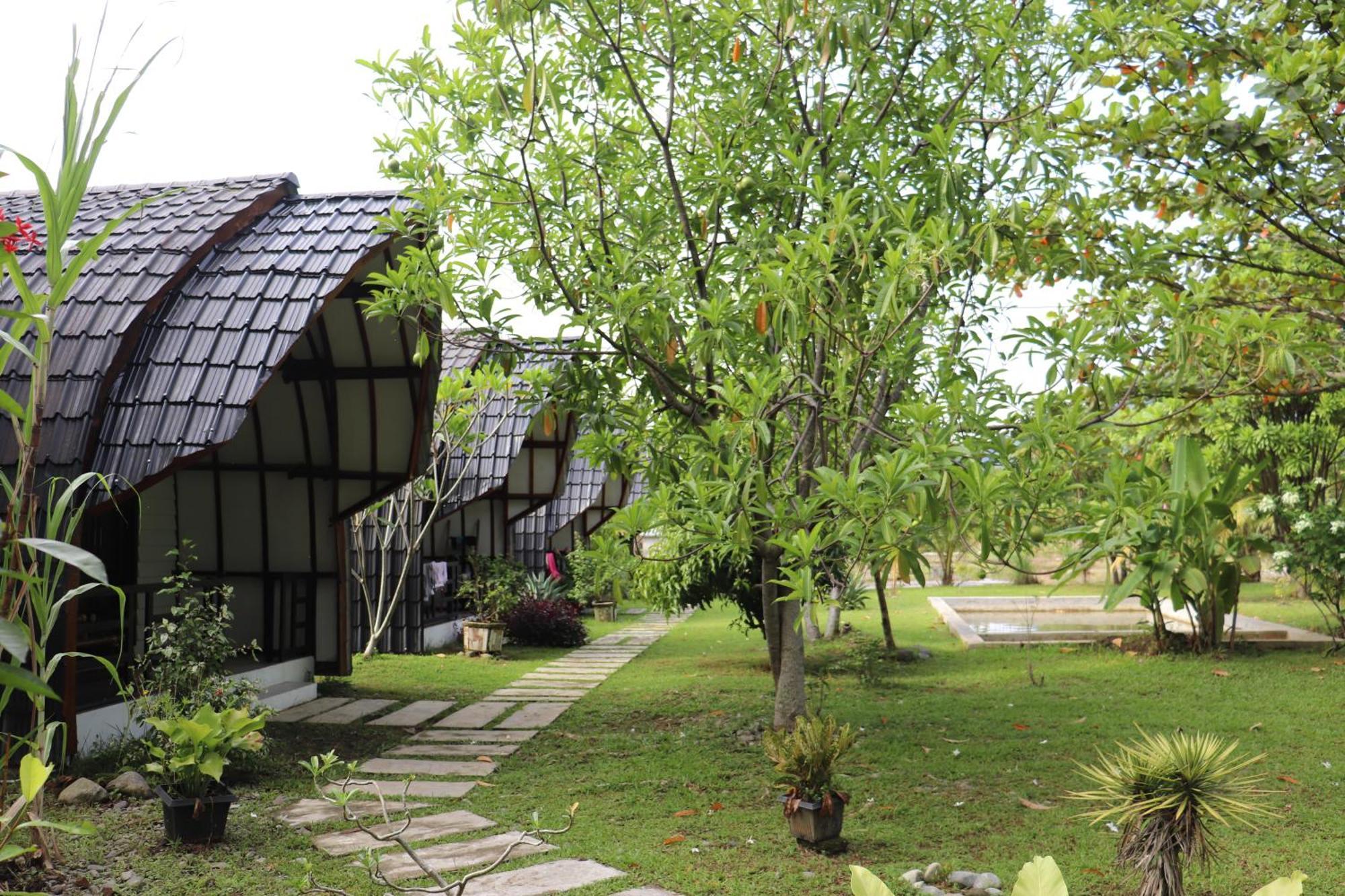 Gino'S Place - Guest House & Jungle Trekking Bukit Lawang Extérieur photo