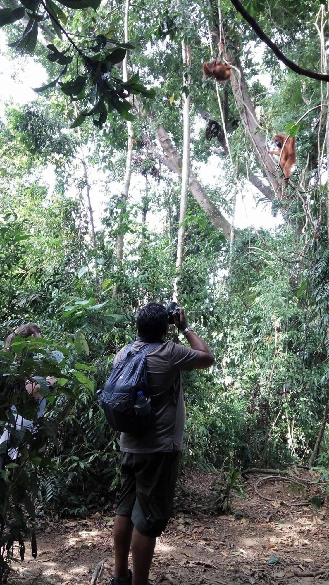 Gino'S Place - Guest House & Jungle Trekking Bukit Lawang Extérieur photo
