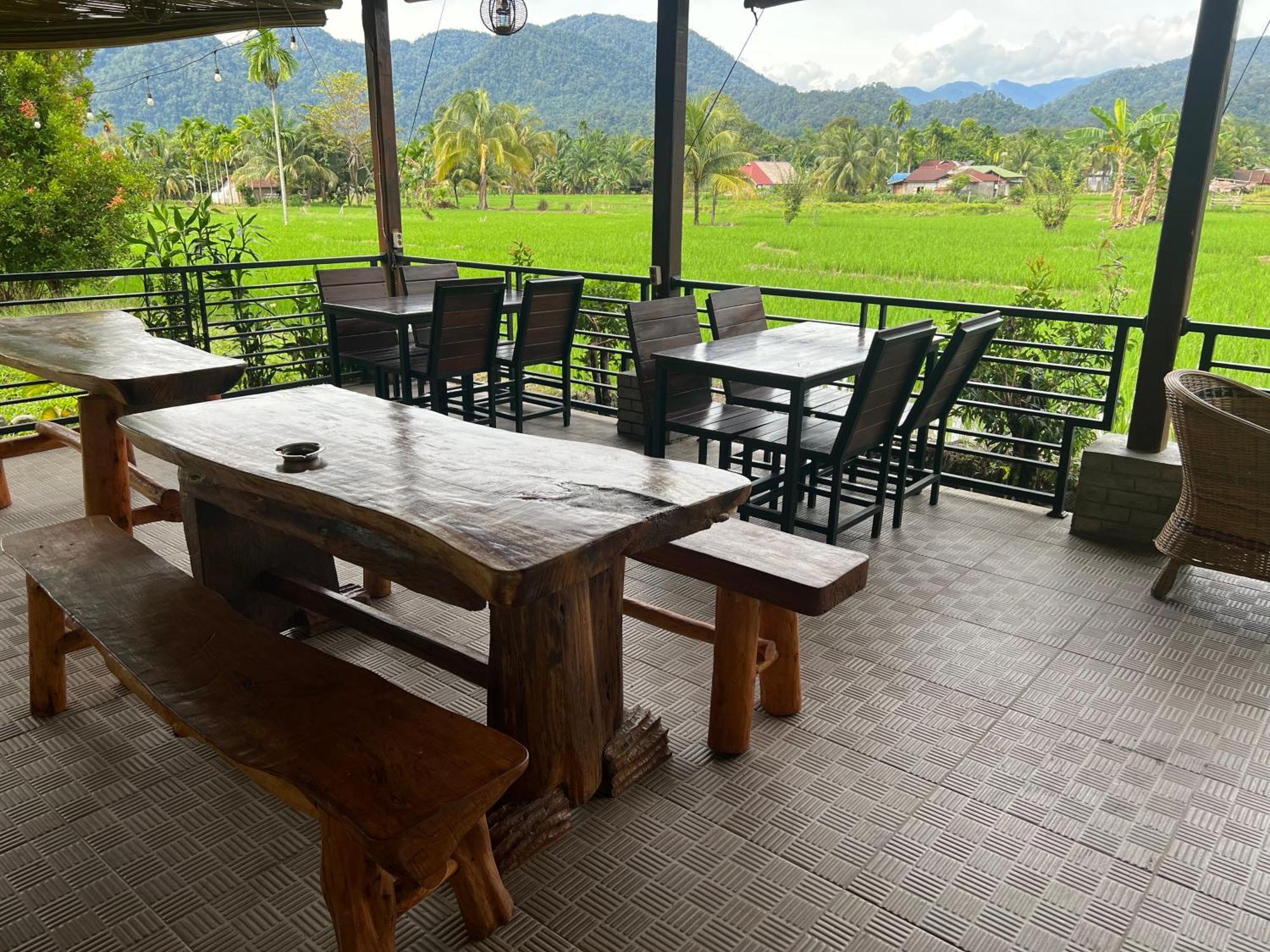 Gino'S Place - Guest House & Jungle Trekking Bukit Lawang Extérieur photo