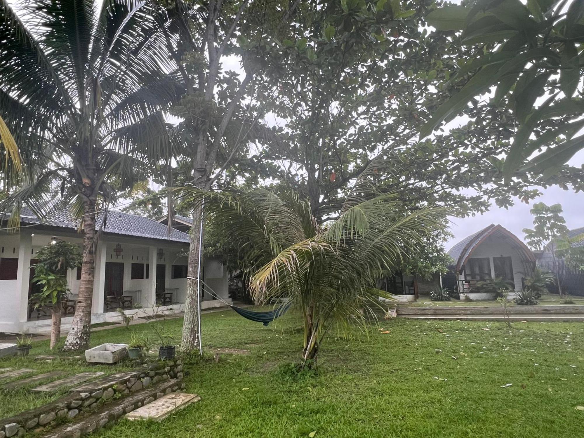Gino'S Place - Guest House & Jungle Trekking Bukit Lawang Extérieur photo