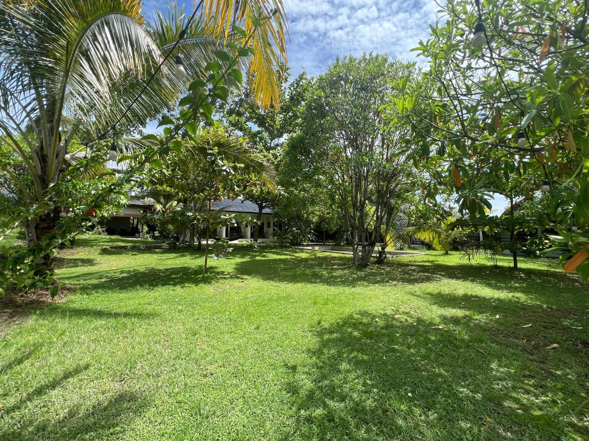 Gino'S Place - Guest House & Jungle Trekking Bukit Lawang Extérieur photo