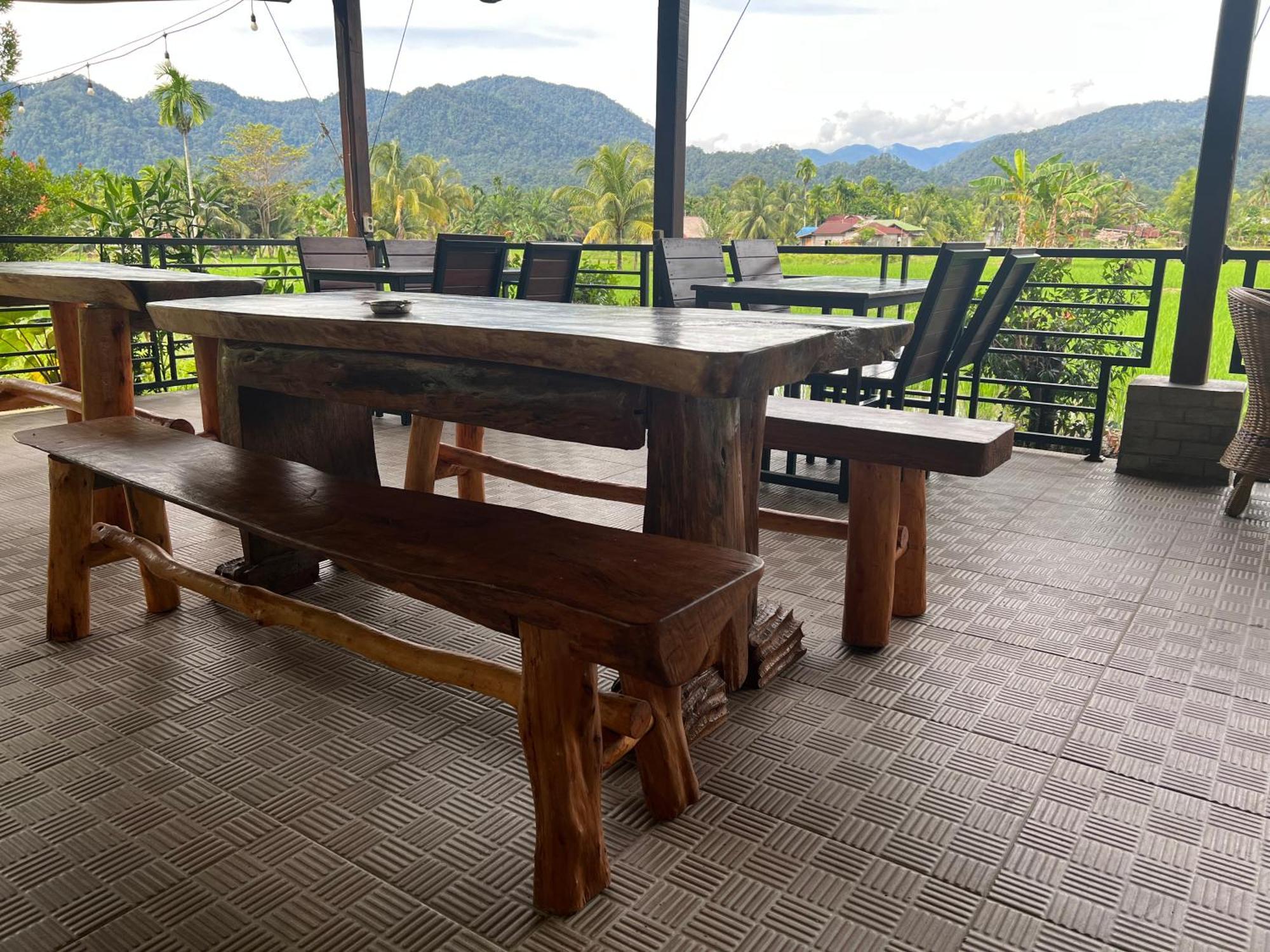 Gino'S Place - Guest House & Jungle Trekking Bukit Lawang Extérieur photo