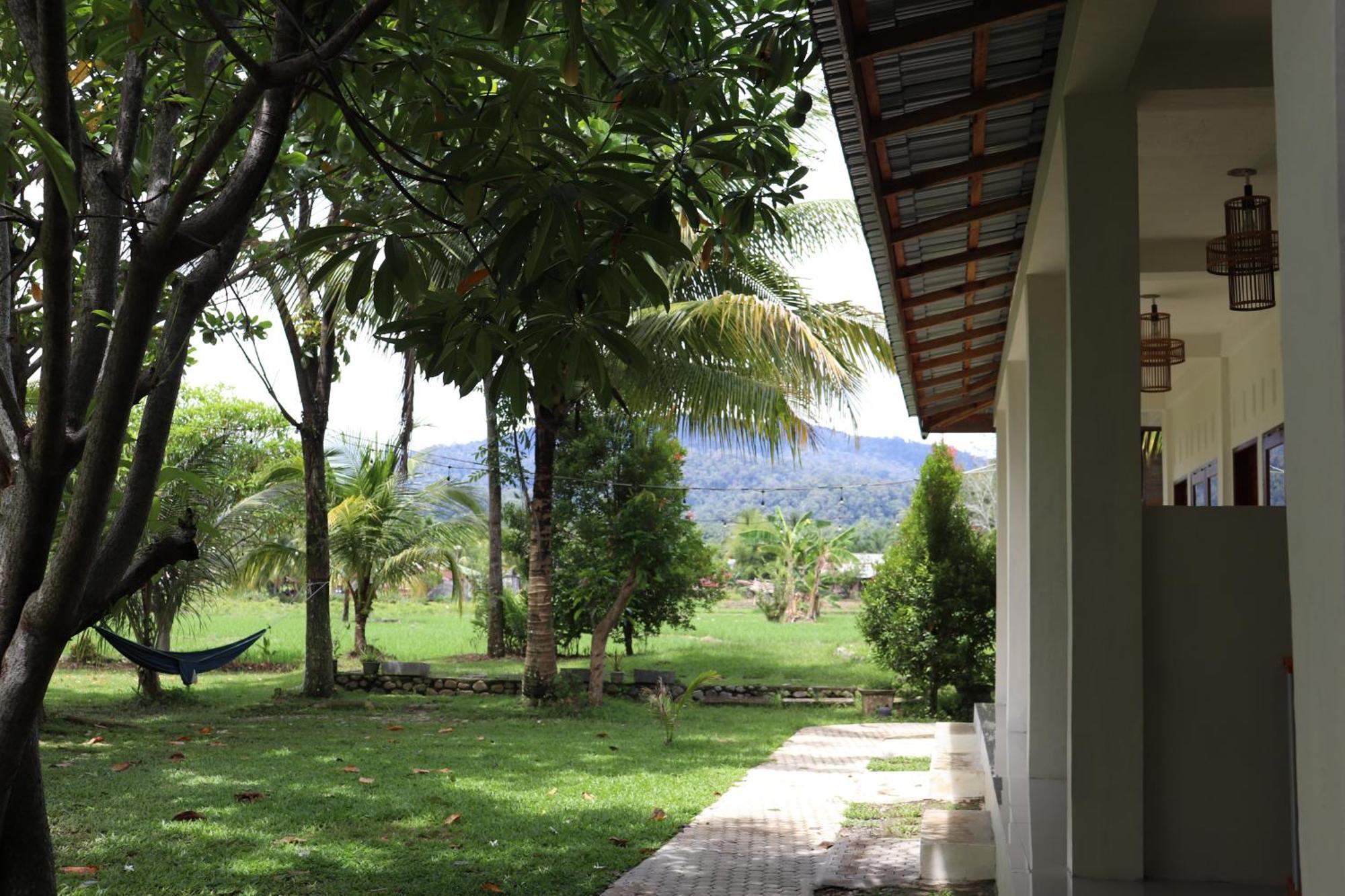 Gino'S Place - Guest House & Jungle Trekking Bukit Lawang Extérieur photo