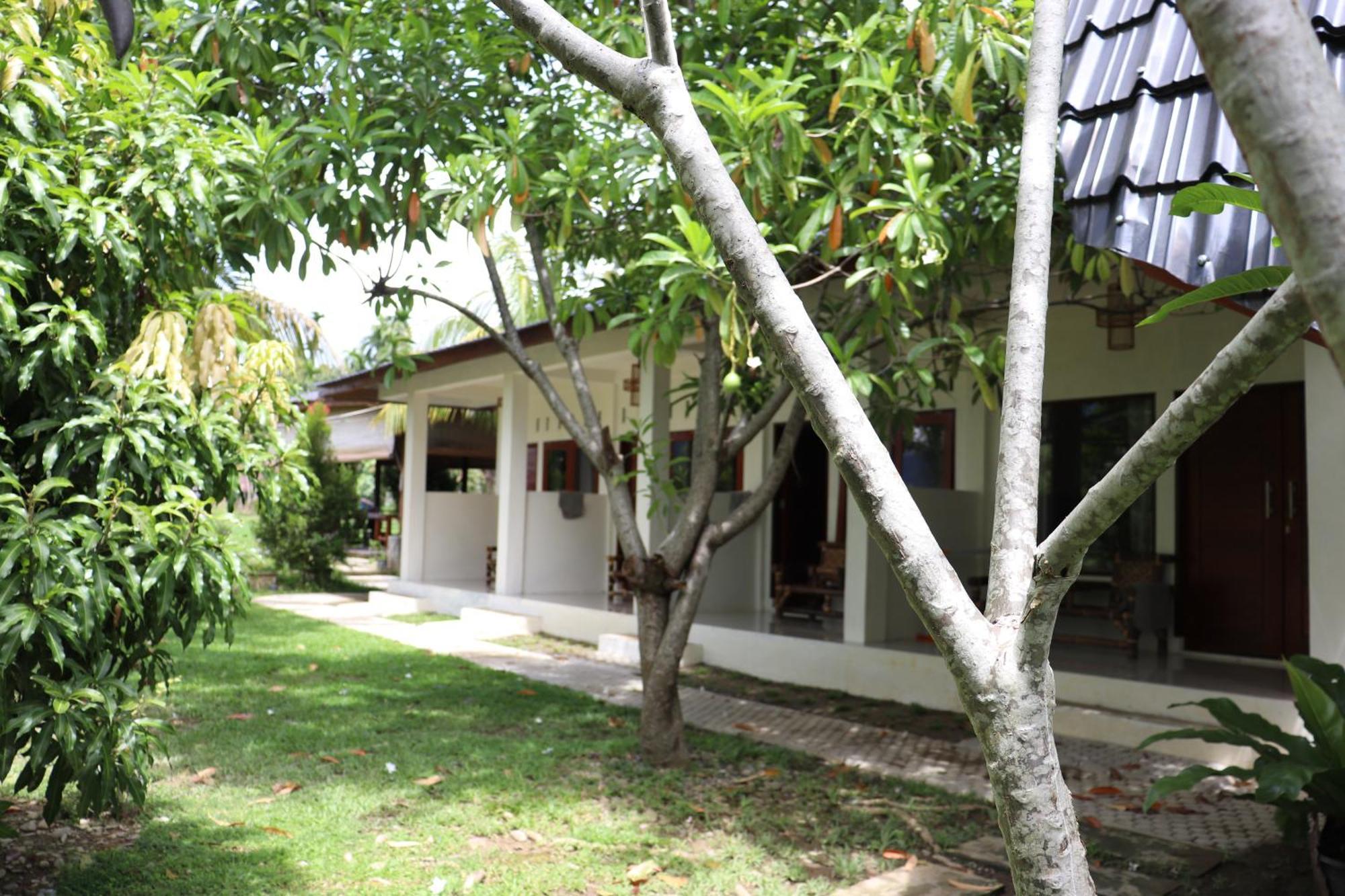 Gino'S Place - Guest House & Jungle Trekking Bukit Lawang Extérieur photo