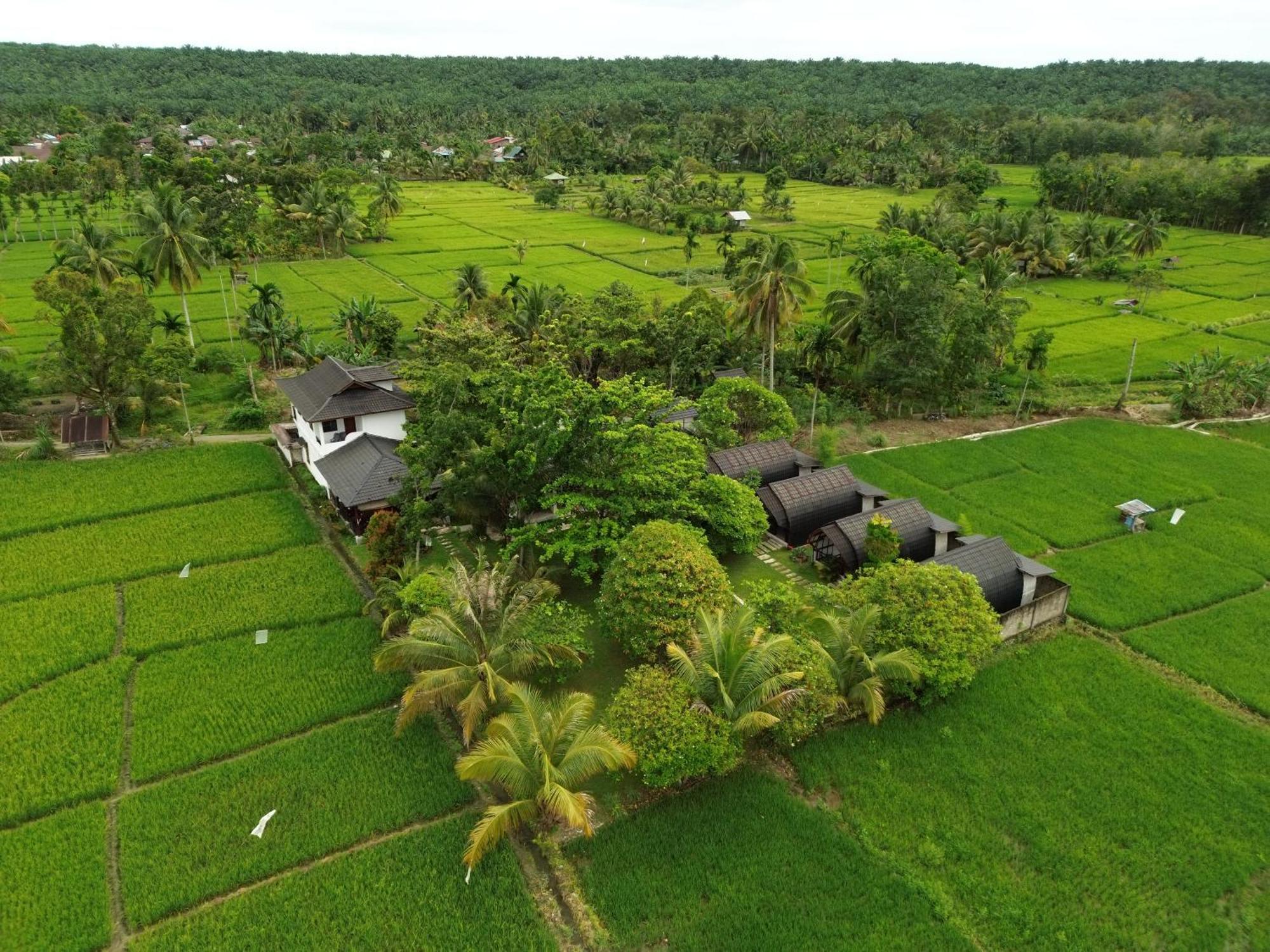 Gino'S Place - Guest House & Jungle Trekking Bukit Lawang Extérieur photo